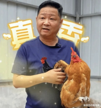 三德子赵亮匠心独运，打造德子土土鸡品牌，传承乡村美味